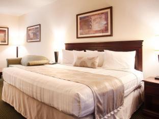 Best Western Jacksonville Inn Rom bilde